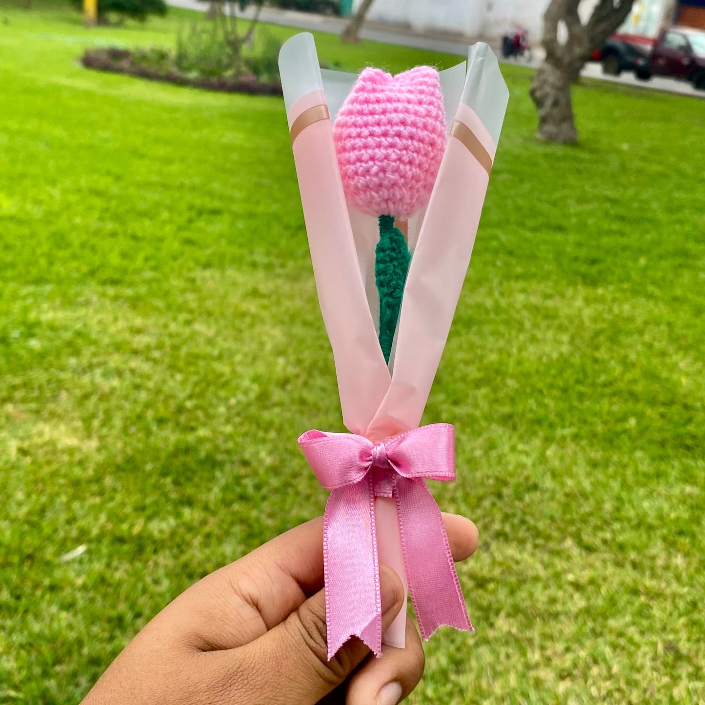 Set de tulipanes 🌷