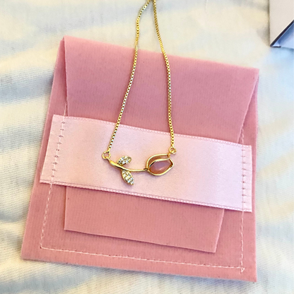 Set de tulipanes 🌷